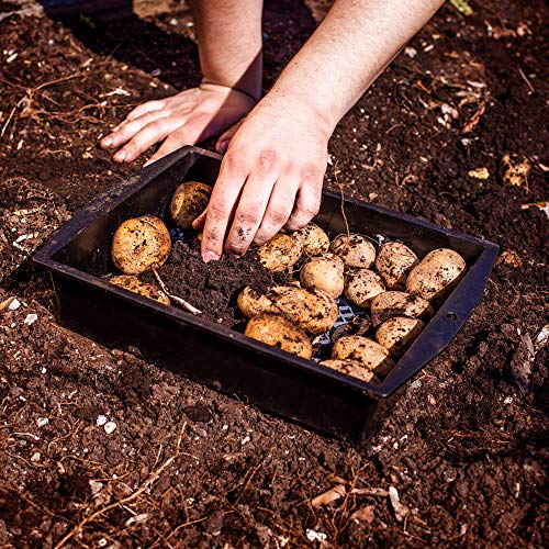 UPP tamiz de Tierra para jardín I cedazo, Doble Malla tamizadora deslizable, Separa Piedras, malezas, terrones, etc. I tamiz 2 en 1 para Huerta, Patio, jardín