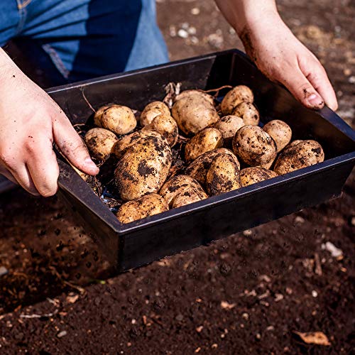 UPP tamiz de Tierra para jardín I cedazo, Doble Malla tamizadora deslizable, Separa Piedras, malezas, terrones, etc. I tamiz 2 en 1 para Huerta, Patio, jardín