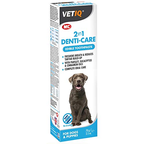 VetIQ - Pasta de dientes comestible modelo Denti-Care para perro (Tamaño Único) (Puede Variar)