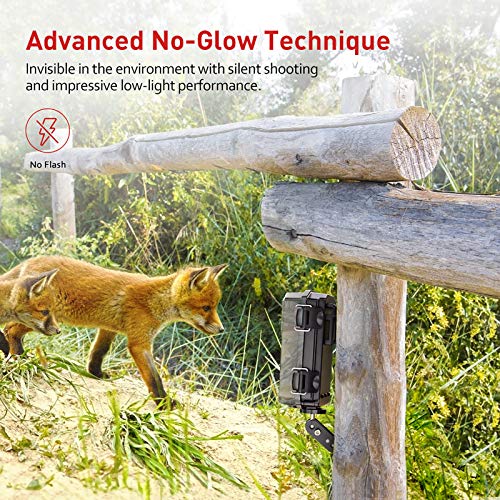 Victure Cámara de Caza Nocturna 20MP 1080P con Diseño Impermeable IP66 Cámara de Fototrampeo con Detección de Acción LED IR Sin Brillo para Seguimiento Cinegético de Fauna