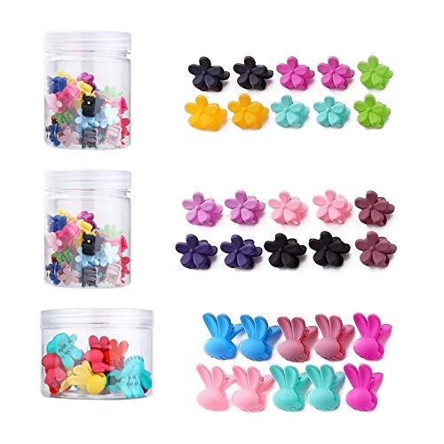 Viesap 100 Piezas De Mini Clips De Pelo Agarre De Pelo De Plástico Con Caja Clips De Cabello Pequeños Mini Pinzas De Pelo De Plástico Para Niñas Y Mujeres Grip Clip De Forma Animal Flor,Vistoso.