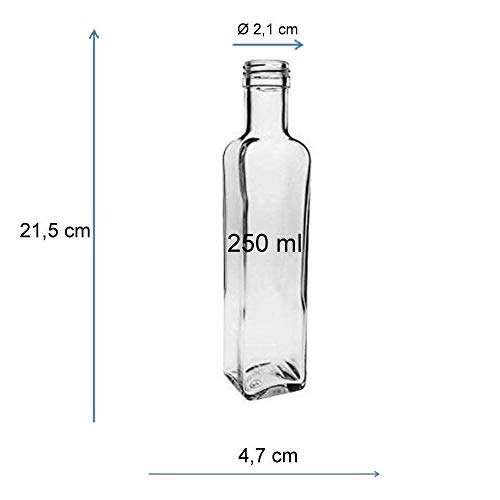 Viva Haushaltswaren - Juego de Botellas de Cristal (con tapón de Rosca, 6 Unidades, 250 ml, rellenables, Incluye Embudo de 7 cm)