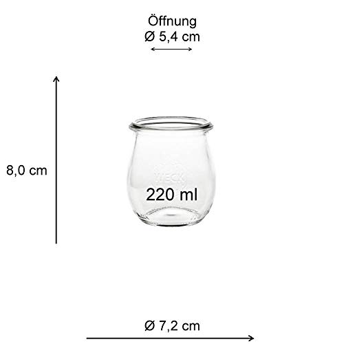 Viva Haushaltswaren - Tarros de Cristal (6 Unidades, 220 ml, Forma Redonda, indicados para Pasteles, entrantes o postres, con Gomas y Cierre, Incluye Embudo)