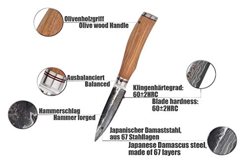 Wakoli - Cuchillo de damasco (hoja de 9,00 cm de largo, con martillo negro, muy afilado, con hoja de Damasco y mango de madera de olivo, cuchillo de cocina