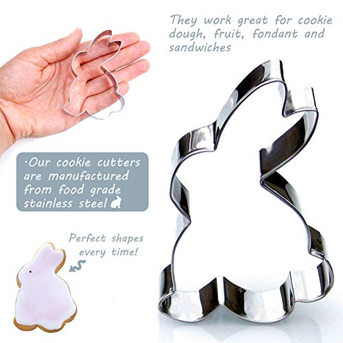 WENTS 1 PCS Silicone Marine Animal Cake Jelly Mold and 5 PCS Stainless Steel Animal Cookie Cutters for DIY Baking Cake Fondant Sugar Craft Pastry Bakeware Decoration