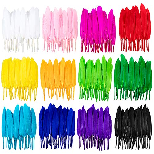 Whaline 360 Piezas Plumas de Colores, 12 Colores Pluma de Ganso Natural para Manualidades de Bricolaje, Aretes de Bricolaje, Decoración para el Hogar, Boda, Fiesta, Baby Shower (4-6 pulgadas)