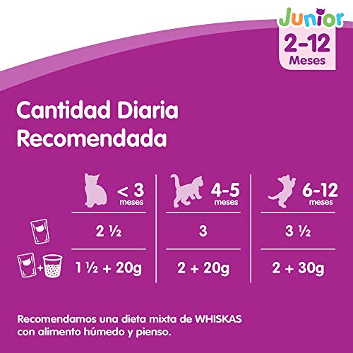 Whiskas Multipack de Comida Húmeda en Gelatina para gatos junior Selección Carnes (Pack de 13 x 4 bolsitas x 100g)