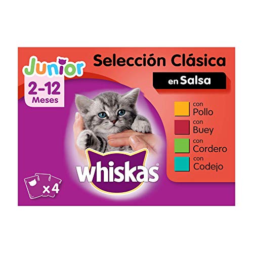 Whiskas Multipack de Comida Húmeda en Gelatina para gatos junior Selección Carnes (Pack de 13 x 4 bolsitas x 100g)