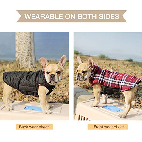 WOOCE Chaqueta Perro Abrigo Perro Invierno Ropa Lindo Escoces Acolchado para Perro Pequeño y Mediano