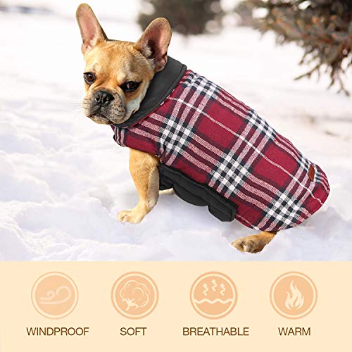 WOOCE Chaqueta Perro Abrigo Perro Invierno Ropa Lindo Escoces Acolchado para Perro Pequeño y Mediano