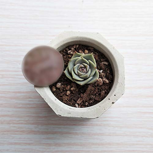 Wovatech Moldes de silicona para macetas de plantas - Moldes de hormigón de fundición artesanal de cerámica para bricolaje - Maceta de cactus para plantas suculentas