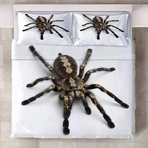 WPHRL Ropa de Cama 3D Imprimiendo Funda nórdica Animal, araña Conjunto de 3 Piezas Niño niña Ligero Poliéster Suave Transpirable Viernes Negro de Navidad 220x240cm