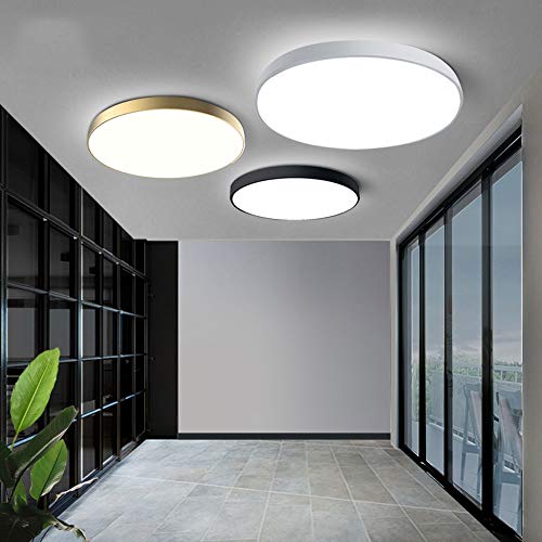 Wylolik De techo moderna Lámpara 10W 24W 36W LED mate del oro cierre redondo de montaje empotrado Pantalla de acrílico accesorio de iluminación de acero cocina simple accesorio ligero for Comedor Dorm