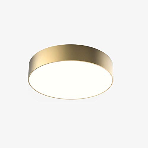 Wylolik De techo moderna Lámpara 10W 24W 36W LED mate del oro cierre redondo de montaje empotrado Pantalla de acrílico accesorio de iluminación de acero cocina simple accesorio ligero for Comedor Dorm