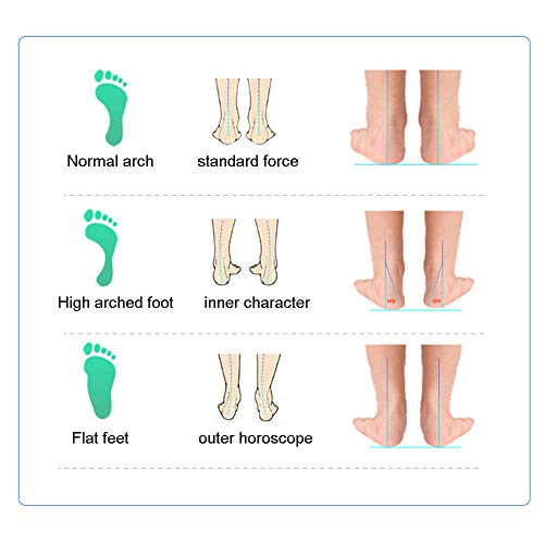 XFQ Ortesis De La Plantilla, La Fascitis Plantar con La Ayuda De Arco del Gel del Impactador De Zapatos Insertar Hombres Y Mujeres Ideales Ortesis Plantilla De Deportes Y Zapatos Atléticos.