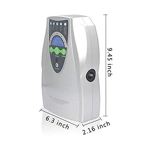 XGL Máquina Generadora De Ozono, 500Mg/H Aire Agua Ionizador Purificador Esterilizador, Purificador De Aire, para Agua, Verduras Y Frutas, 110V/220V