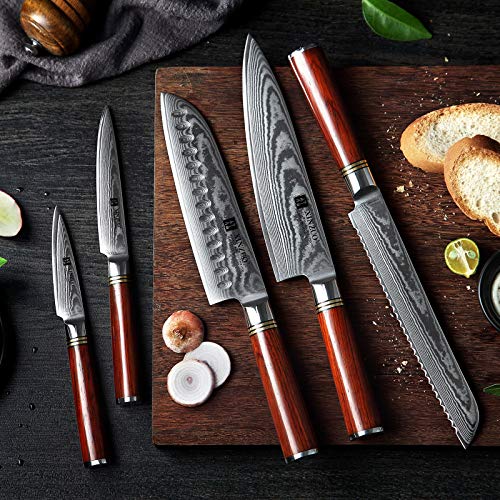 XINZUO 5 Piezas Set Cuchillo Cocina de Acero Damascus,Forjado Afilado Cuchillo de Cocinero VG10 Acero Cuchillo Chef Santoku Universal Fruta Cuchillo de Pan con Ergonómico Mango de Rosewood –H Serie