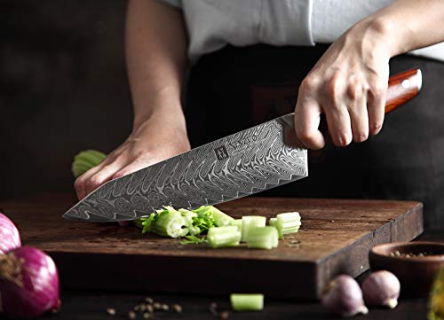 XINZUO 5 Piezas Set Cuchillo Cocina, Profesional Afilado Cuchillo de Cocinero Japonés Cuchillo Chef Santoku Universal Fruta Cuchillo de Pan con Ergonómico Mango de Rosewood -Yi Serie