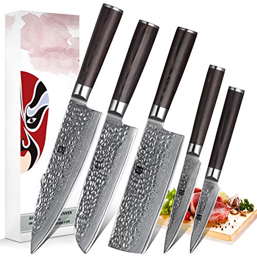 XINZUO Set Cuchillo Cocina 5 Piezas Damasco Japonés 67 Capas Profesional Cuchillo Chef 20cm Cuchillo Santoku Nakiri Cuchillo Uso Cuchillos Pelar con Pakkawood Mango - He Serie