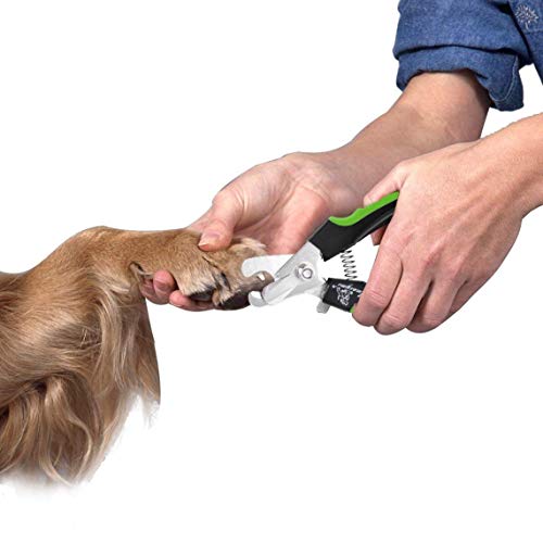 XITAER Cortauñas de uñas para Perros y Gatos, Recortadora de uñas Profesional de Acero Inoxidable con Protector de Seguridad para Mascotas para Evitar Recortes, con Herramienta de Aseo