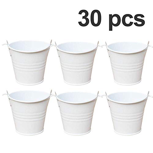 XYJIE 30 cubos de metal para dulces, cubos de regalo, perfecto para regalos de fiesta, caramelos, velas votivas, abalorios, plantas pequeñas (blanco)