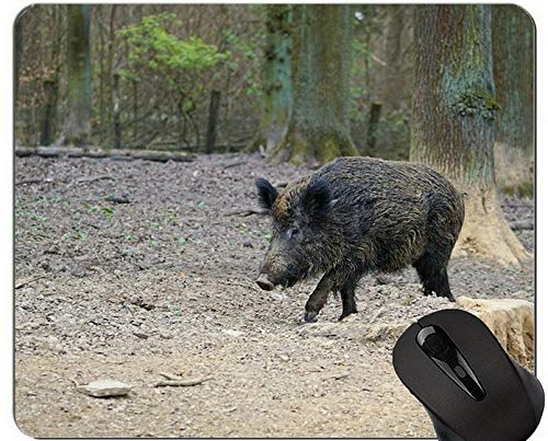 Yanteng Cut Pig Mousepad, Boar Mouse Pads