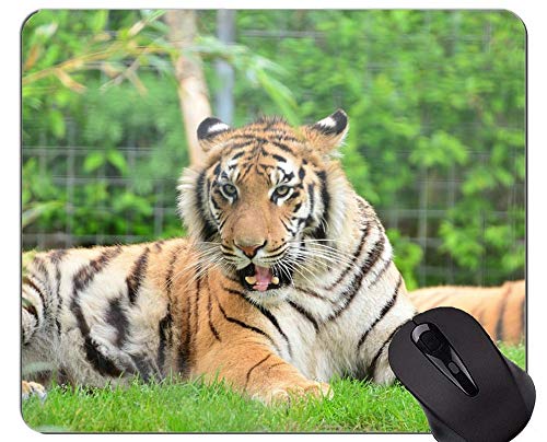 Yanteng Cute Tiger Cub Personalizado Rectángulo Mousepad, Tiger Rubber Mouse Pad