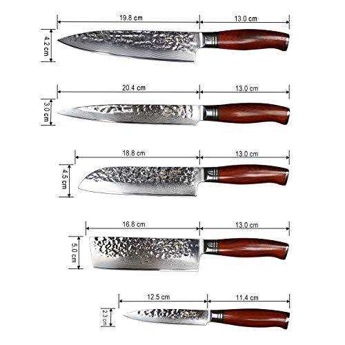 YARENH Cuchillo de Cocina Profesional,Set Cuchillos Cocina de Acero Damasco Japones con 5 Piezas,Mango de Madera Dalbergia,Cuchillos de Chef Marcas Ultra Filoso HTT-Serie