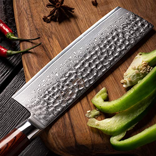 YARENH Juego de Cuchillos de Cocina 5 Piezas,Set Cuchillos Cocina Profesional de Acero Damasco Japones,Mango de Madera Pakka,Cuchillo de Chef Ultra Filoso HYZ-Serie