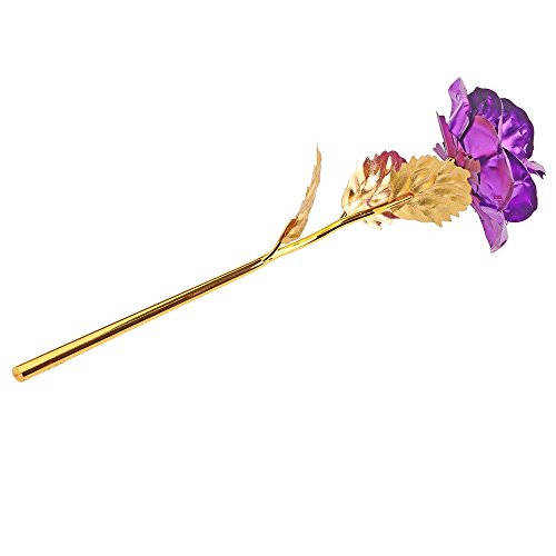 Youngine Creative Madre Regalo del día de 24 K lámina de Oro Rosa Flores Full Blossom Presenta, romántico Regalo para Ella con Caja, Hecho a Mano & Amor dure para Siempre (Púrpura)