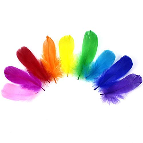 YouU 200 Plumas de Colores para Manualidades, Plumas, Boda, hogar, Fiesta, decoración (8-12cm)