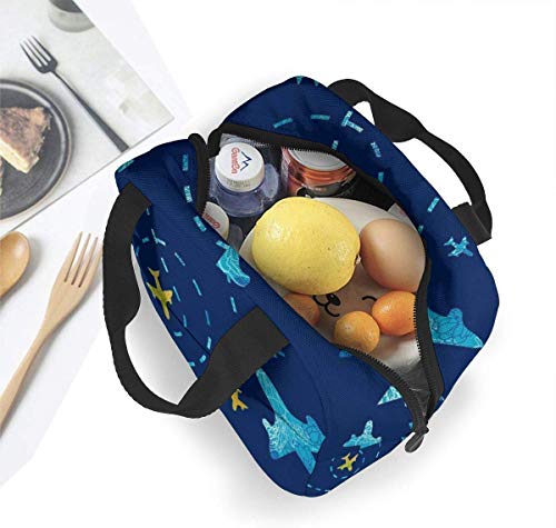 Yuanmeiju Bolsa de almuerzo, caja de almuerzo con aislamiento, diseño único Nay Blue Airplane, liviana, portátil, con aislamiento, bolsas de almuerzo, bolsos para viajes escolares, trabajo