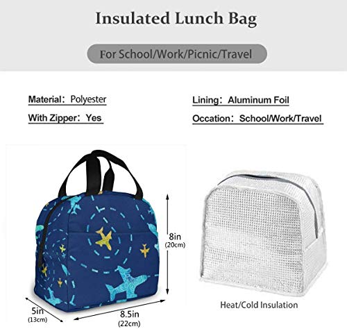 Yuanmeiju Bolsa de almuerzo, caja de almuerzo con aislamiento, diseño único Nay Blue Airplane, liviana, portátil, con aislamiento, bolsas de almuerzo, bolsos para viajes escolares, trabajo