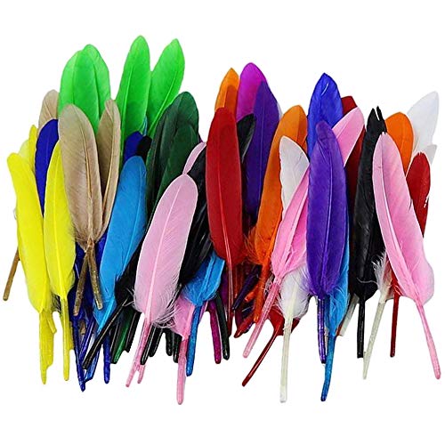 yyuezhi Plumas de Colores para Manualidades Arte de DIY Bodas Plumas De Colores Pluma de Ganso Decoraciones Plumas de Ganso para Pendientes Pluma Natural de Alta Calidad Pluma de Ganso (200 piezas)