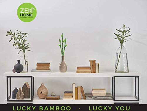 Zen Home Bambu DE LA Suerte Artificial, Plantas Artificiales Plantas Artificiales Decorativas, Planta Artificial, bambú Artificial, decoración casa, Decoracion hogar, Planta Artificial Bambu