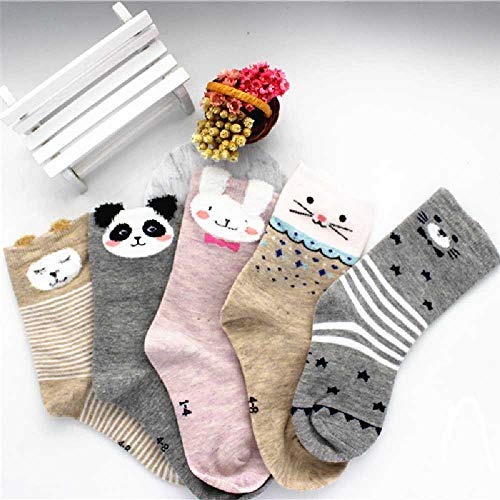 ZHANGNUO Calcetines Suaves Calcetines para Niños Y Niñas Calcetines para Niños Fox Dog Cat Calcetines Casuales 3D Calcetines para Niños Kawaii Regalo para Su Bebé 4-6T / Dorado