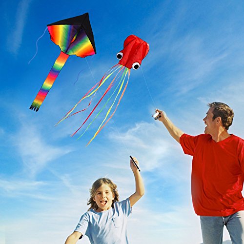 ZoomSky 2pcs Cometa Iris de Triangular y Pulpo bagre Color Vario Rainbow de Volar con Viento Suave para los niños y Adultos (Triangular y Pulpo)