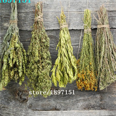 100seeds grandes de la venta / semillas de flores bolsa de Tuberose plantas en maceta sequía agradable aroma de las semillas de flores semillas de vainilla 20