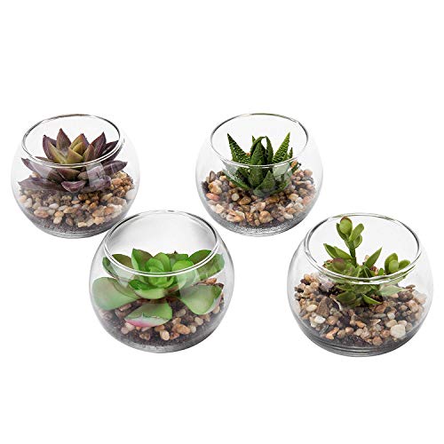 4 x Plantas Suculentas Artificiales,Bonsai Flores Artificiales Jardinera Suculenta Falso Plantas de Cactus Faux en Macetas Suculentas Pequeñas con Vaso Macetas de para Decoración de Oficina en Hogar