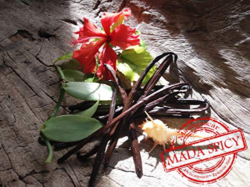 5 Vainas frescas de vainilla de Madagascar / 12-14cm.
