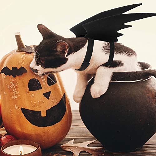 8 Piezas Disfraces de Perros Gatos Mascotas Incluyen Alas de Murciélago de Halloween, Collar de Lazo con Campana Pinzas de Cabello de Buey Disfraz para Niños Adultos Fiesta de Halloween