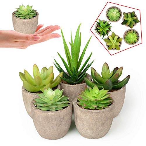 Abree Plantas Suculentas Artificiales 5PCS Jardinera Suculenta Falso Plantas de Cactus Faux Pequeñas con Macetas de Color Gris para la Decoración de la Oficina en el Hogar