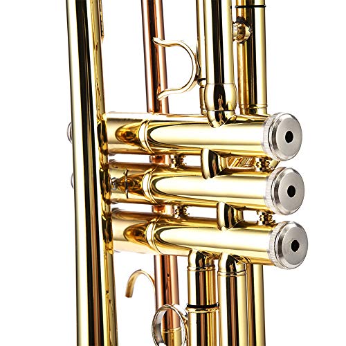 Accesorios de conjunto de instrumentos de trompeta de color profesional multicolor(Oro)