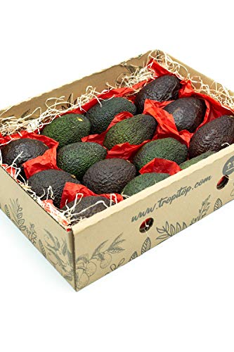 Aguacates Hass frescos | Caja de fruta de 4 Kg | TropiTop