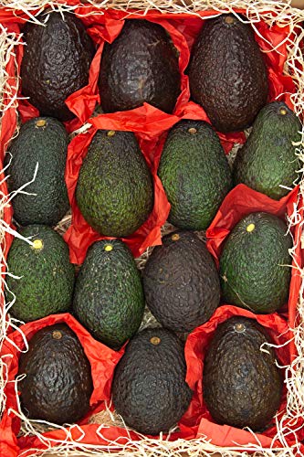 Aguacates Hass frescos | Caja de fruta de 4 Kg | TropiTop