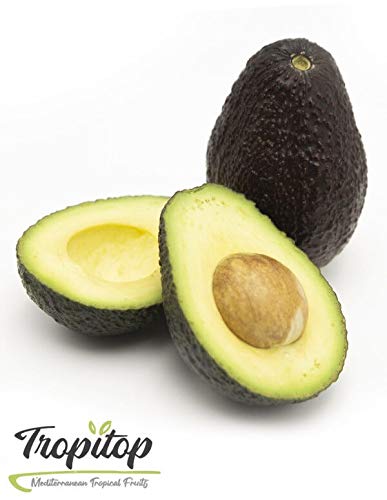 Aguacates Hass frescos | Caja de fruta de 4 Kg | TropiTop