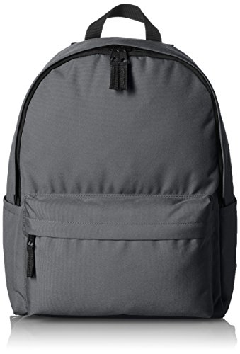 AmazonBasics, Mochila de estilo clásico, Gris