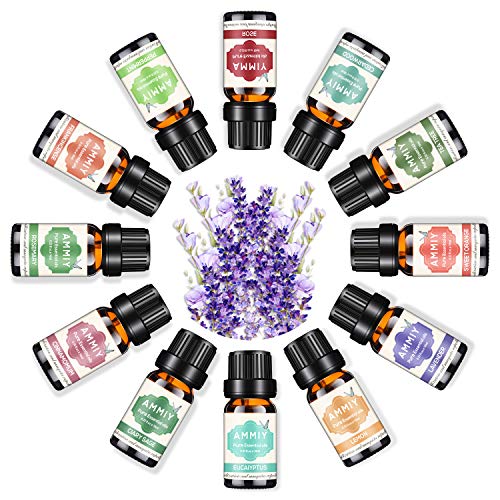 AMMIY aceites esenciales 12 * 10 ml, eucalipto, limón, menta, lavanda, naranja dulce, árbol de té, rosa