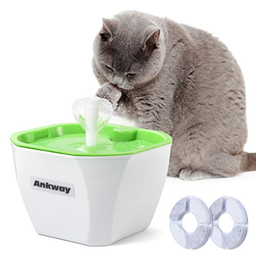 Ankway Bebedero Gatos, Fuente para Gatos Automático Bebedero para Mascotas 1.6L con filtros de Carbón y Detector de Nivel de Agua, Dispensador de Mascotas Silenciosa para Gatos y Perros