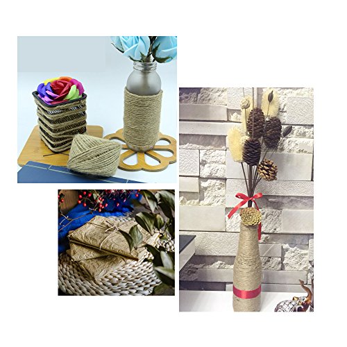 AONER 200metros Cuerda de Cáñamo Cordel Bramante de Yute 2mm Natural Twine Enrollado Resistente para Jardinería Regalos Boda Jarrones Libros DIY Bricolaje Manualidades (100m*2 Rollos)